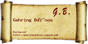 Gehring Bános névjegykártya